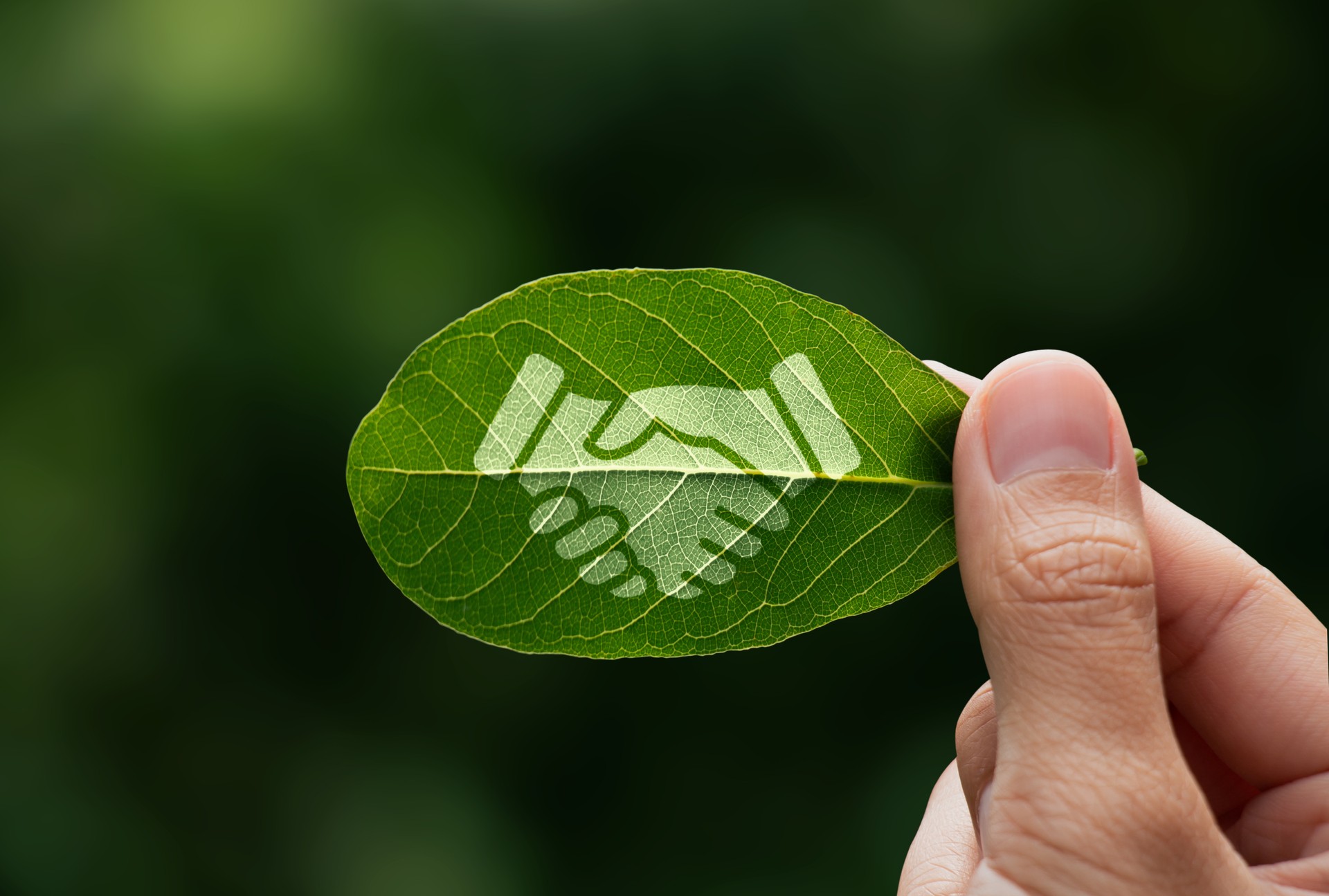 Hand of human is holding painted green leaf with handshake icon